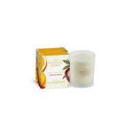 Ashleigh & Burwood Amalfi Lemon & Sea Salt Scented Candle