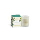 Ashleigh & Burwood Eucalyptus & Vetiver Scented Candle